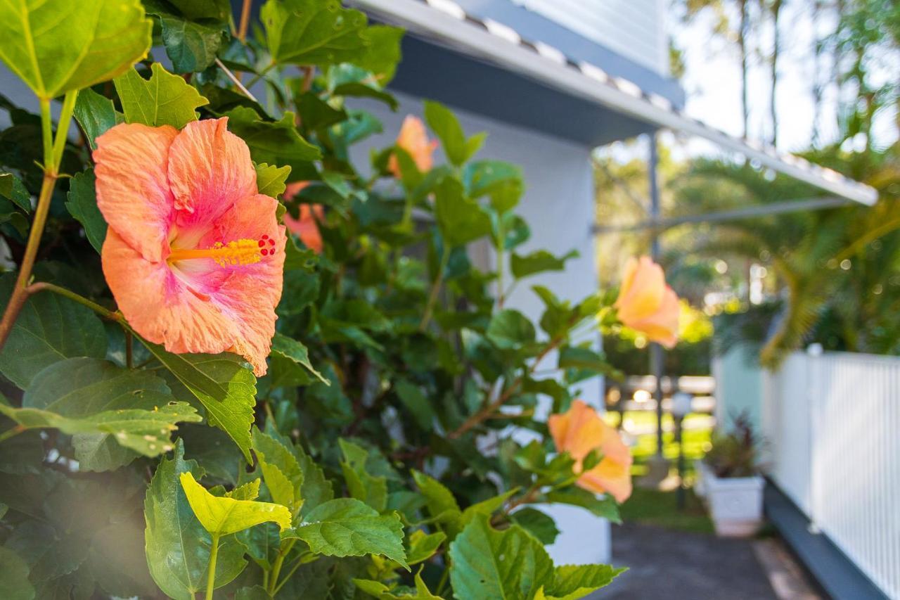 Blueys Motel Blueys Beach Exterior foto